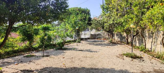 immagine annuncio 2 di 6