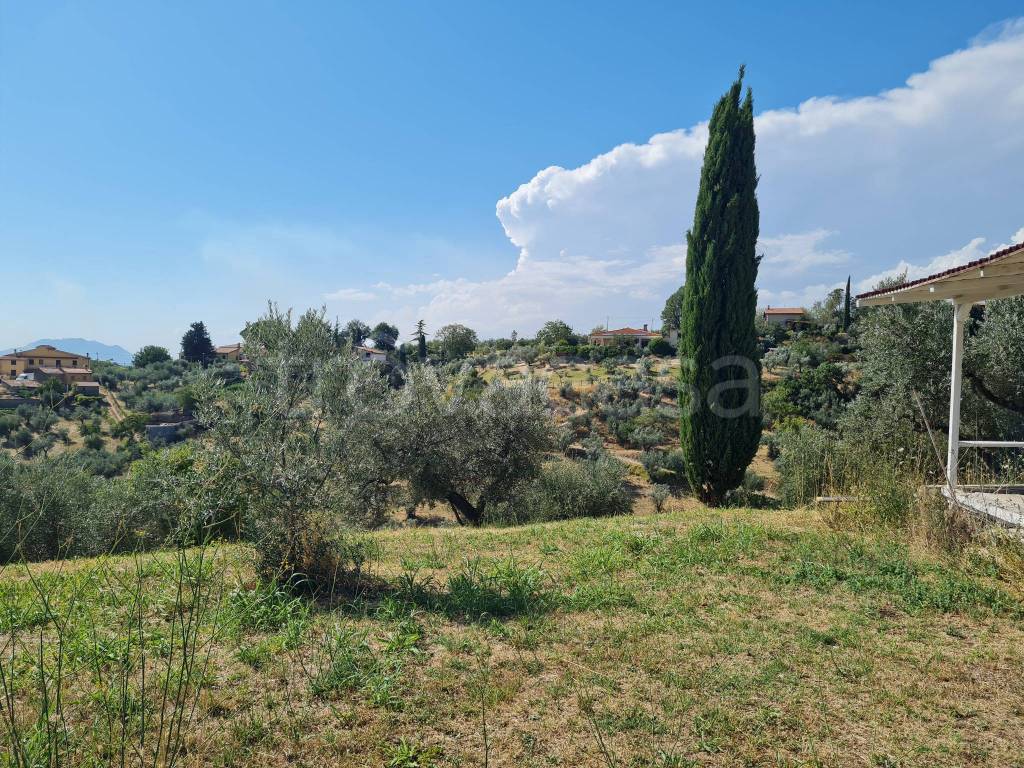immagine annuncio 3 di 14