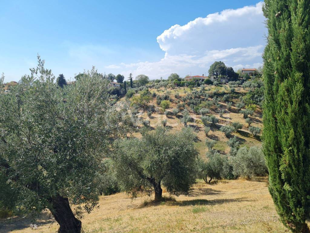 immagine annuncio 4 di 14