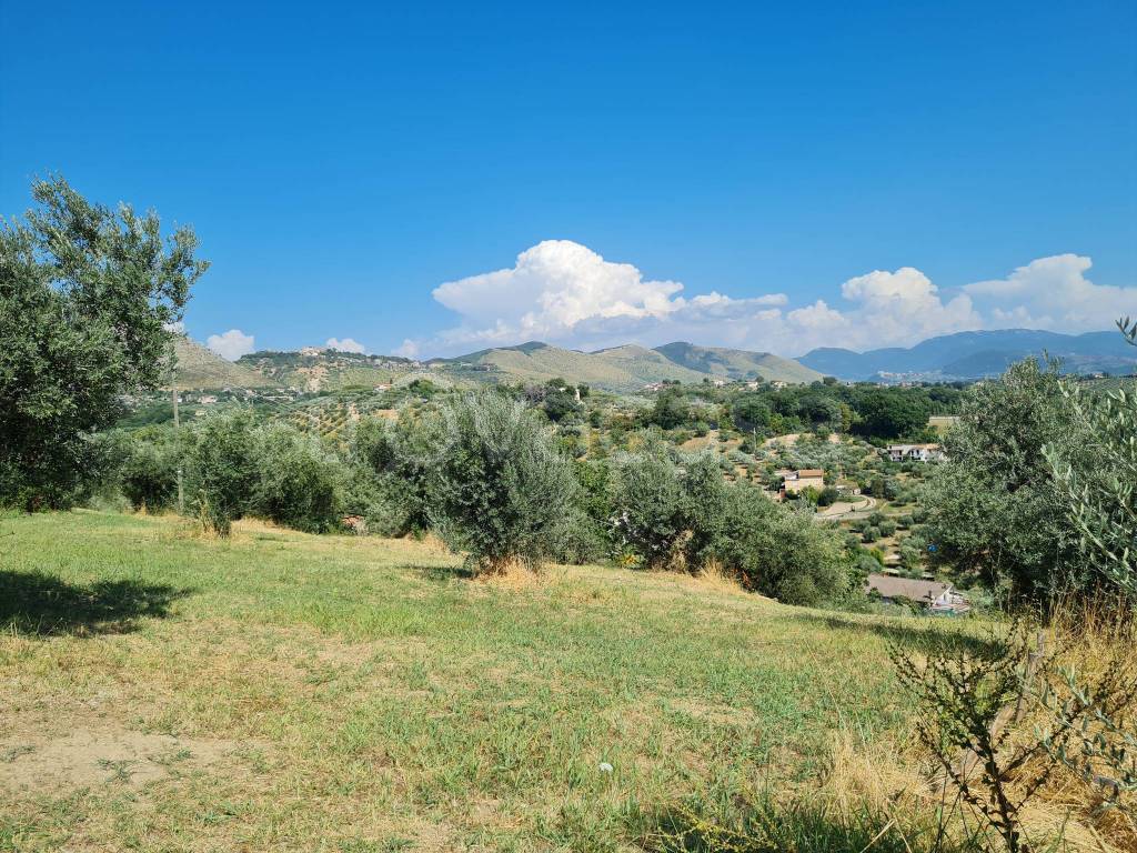 immagine annuncio 12 di 14