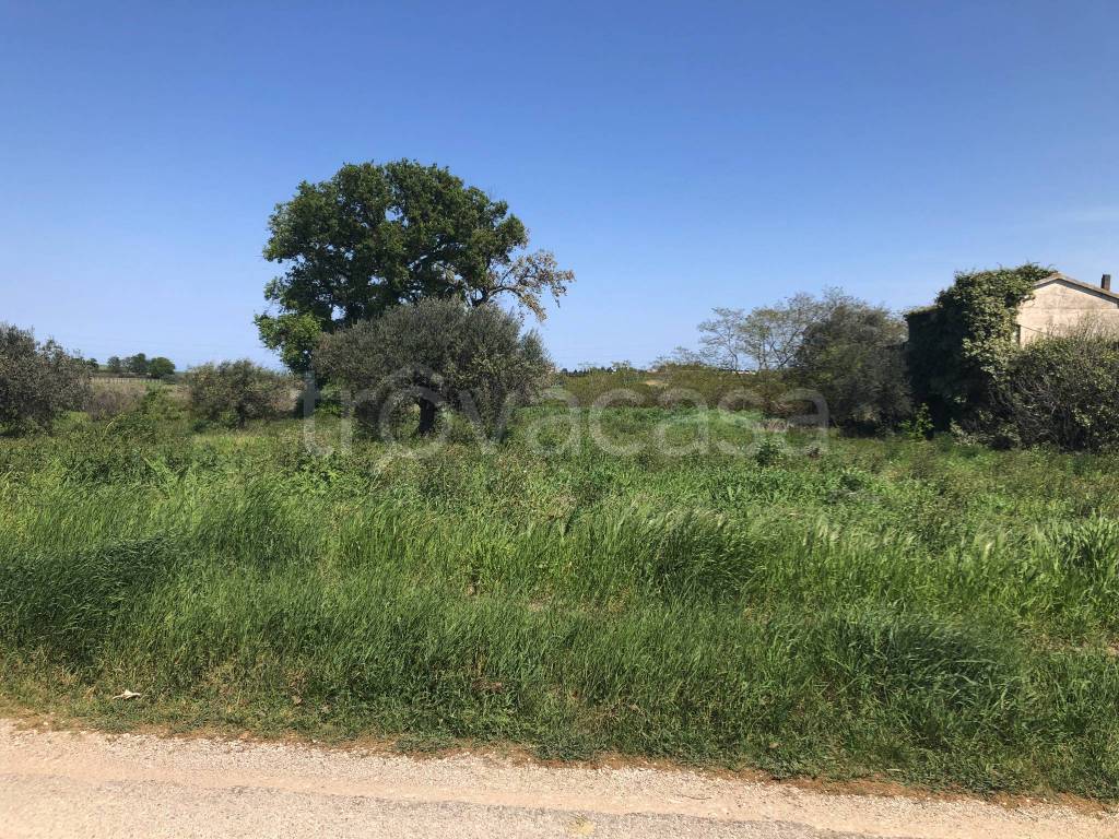 immagine annuncio 2 di 14