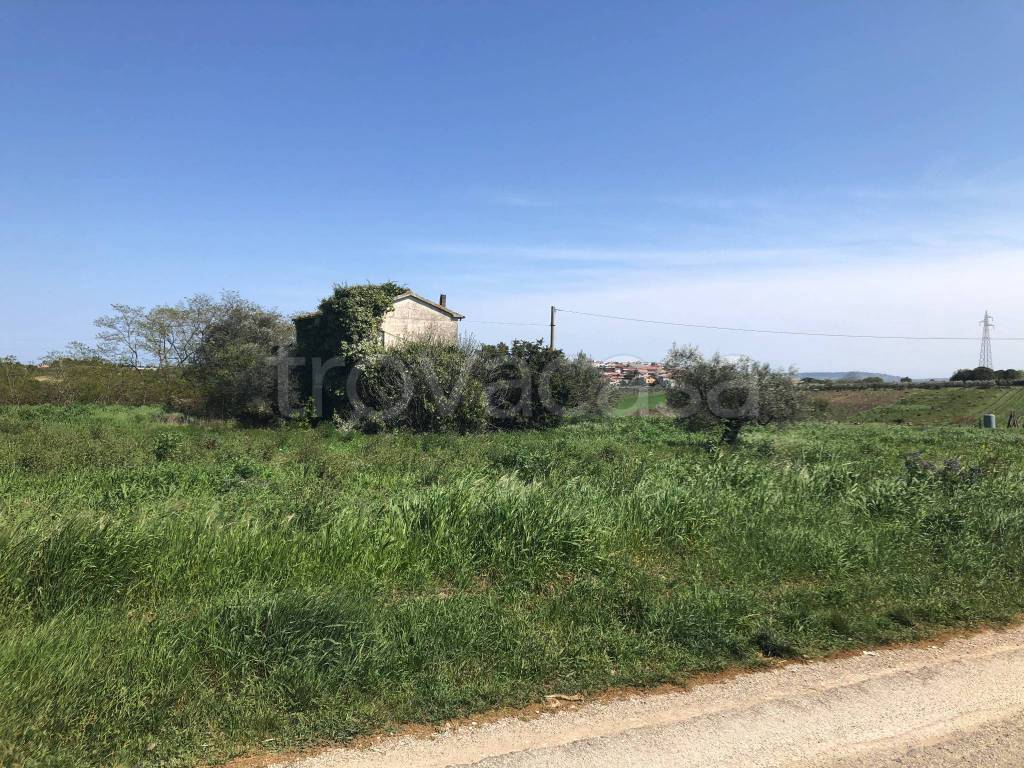 immagine annuncio 3 di 14