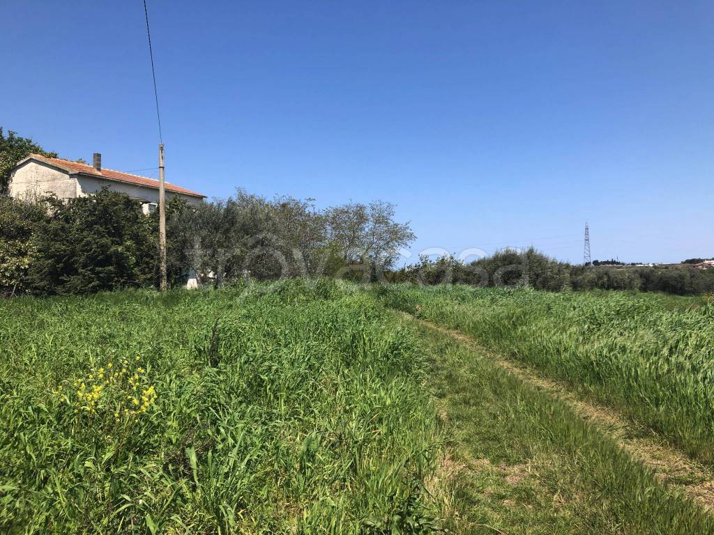 immagine annuncio 5 di 14