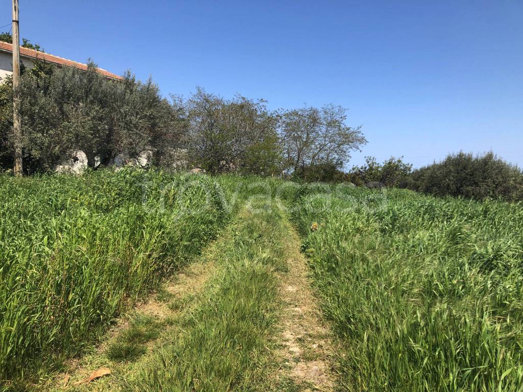 immagine annuncio 8 di 14