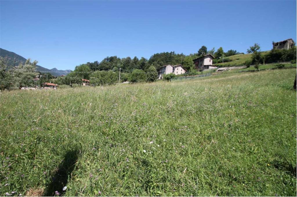 Terreno Residenziale in vendita a Sant'Omobono Terme