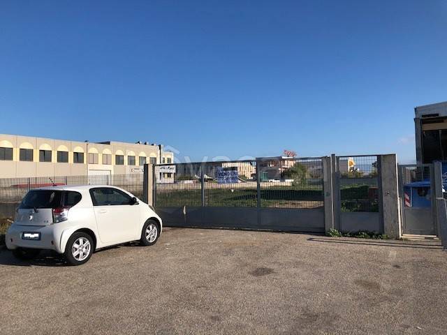 immagine annuncio 2 di 3