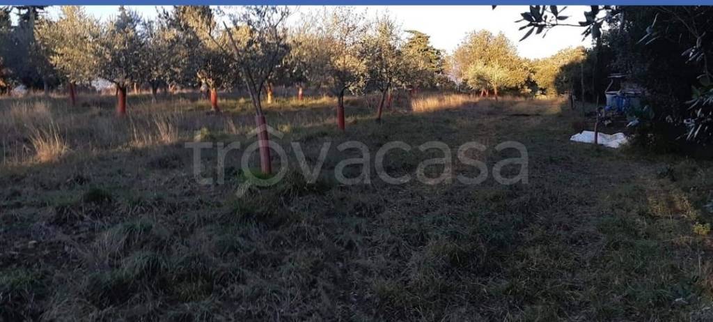 Terreno Agricolo in vendita a Bagno a Ripoli via di Fontibucci, 20
