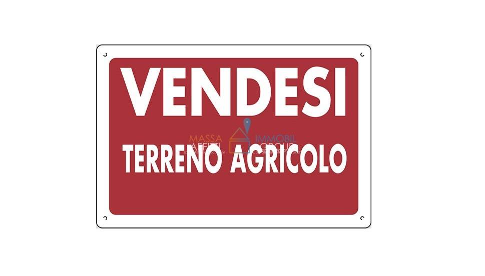 Terreno Agricolo in vendita a Massa via Due Madonne, 62