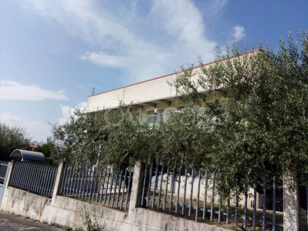 immagine annuncio 6 di 13