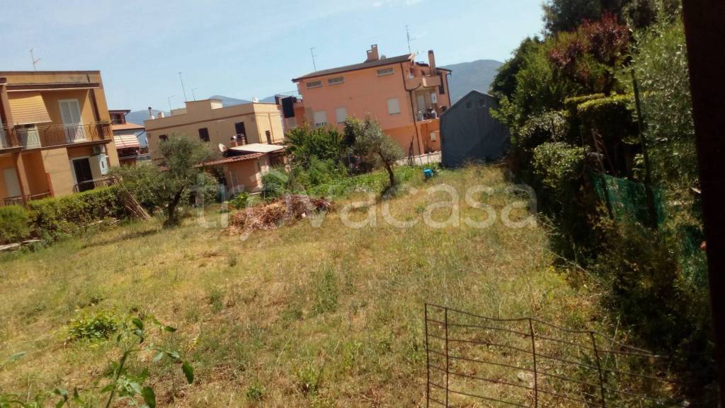 immagine annuncio 3 di 9