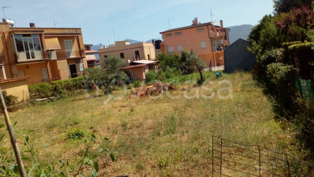 immagine annuncio 5 di 9