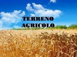 Terreno Agricolo in vendita a Torreglia