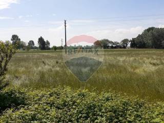 Terreno agricolo in vendita a guidizzolo via san lorenzo