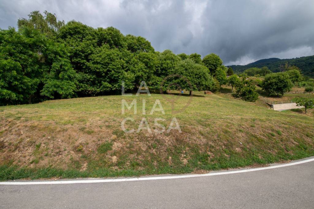 immagine annuncio 6 di 14