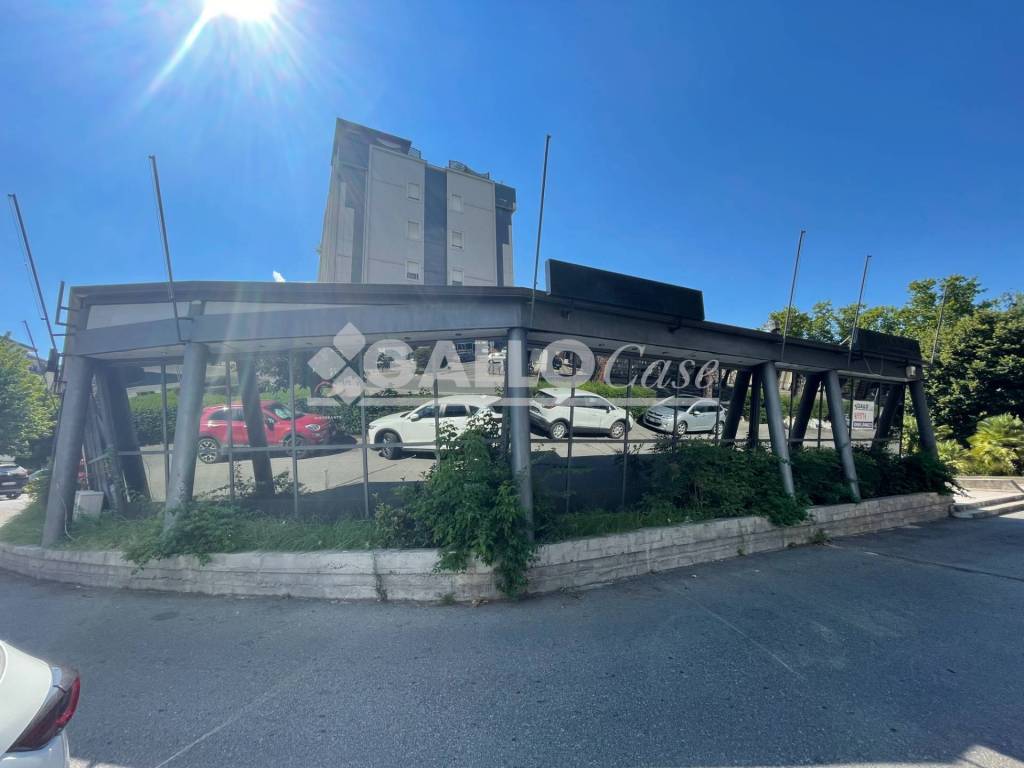 immagine annuncio 5 di 8