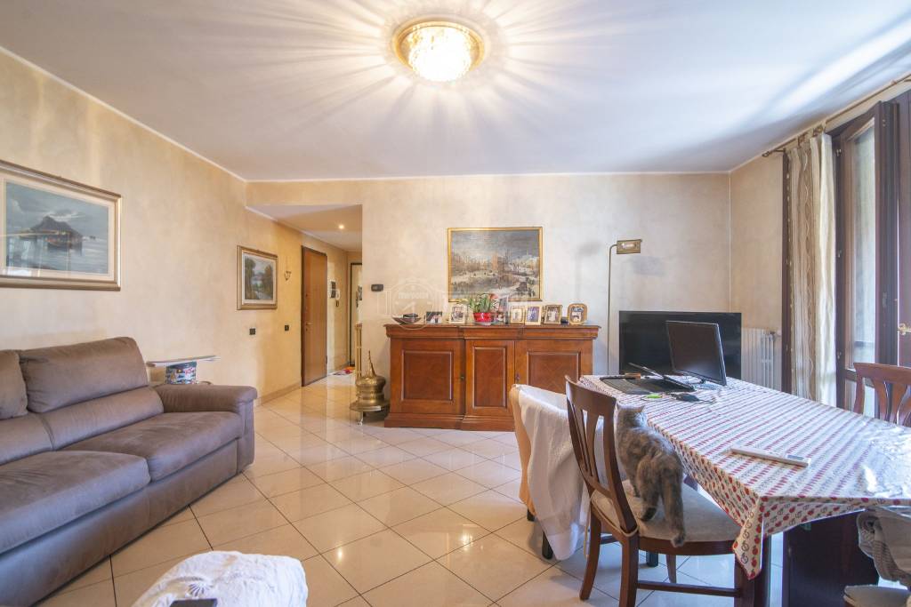 immagine annuncio 2 di 14