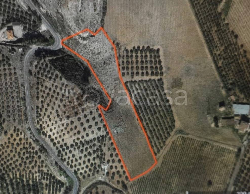 Terreno Agricolo in vendita a Spezzano Albanese contrada Stragolia Grande, 1