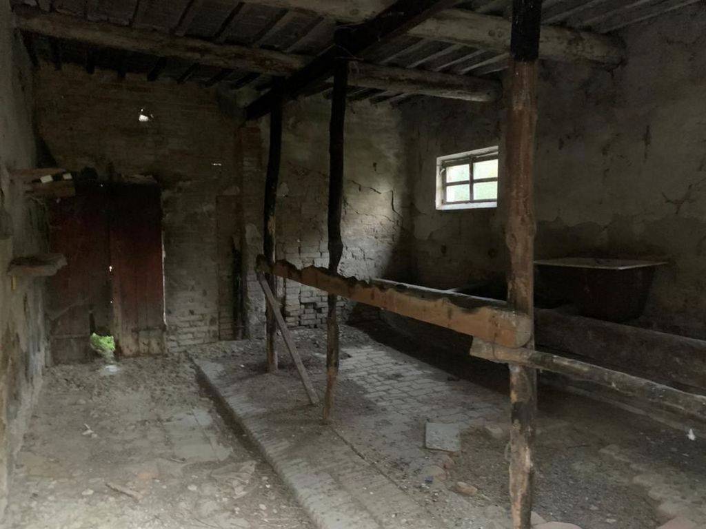 immagine annuncio 6 di 12