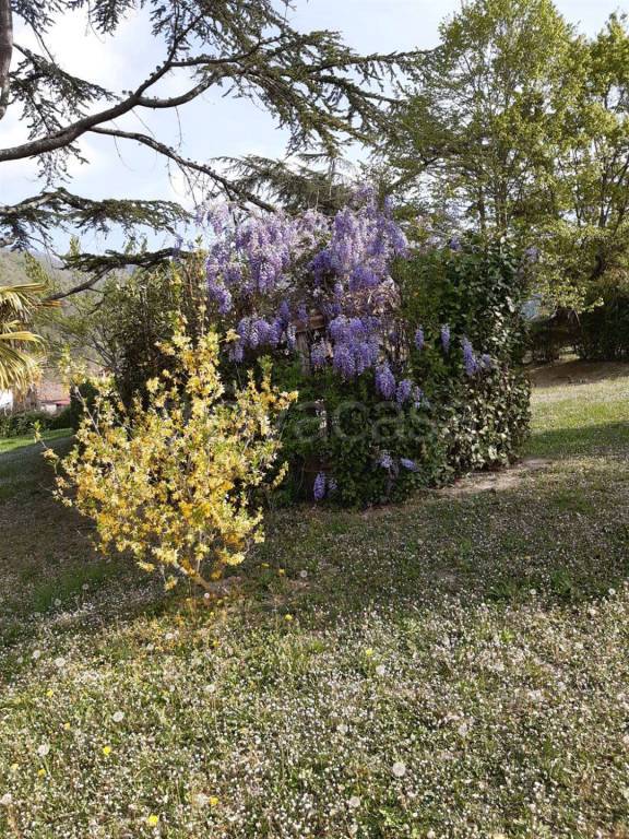 immagine annuncio 1 di 14