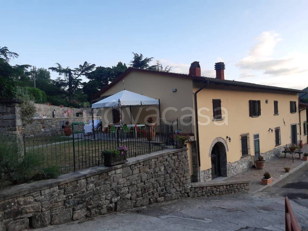 immagine annuncio 6 di 14