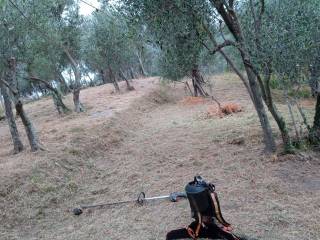 Terreno agricolo in vendita a levanto località le ghiare