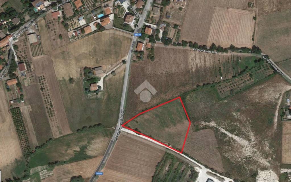 immagine annuncio 1 di 11