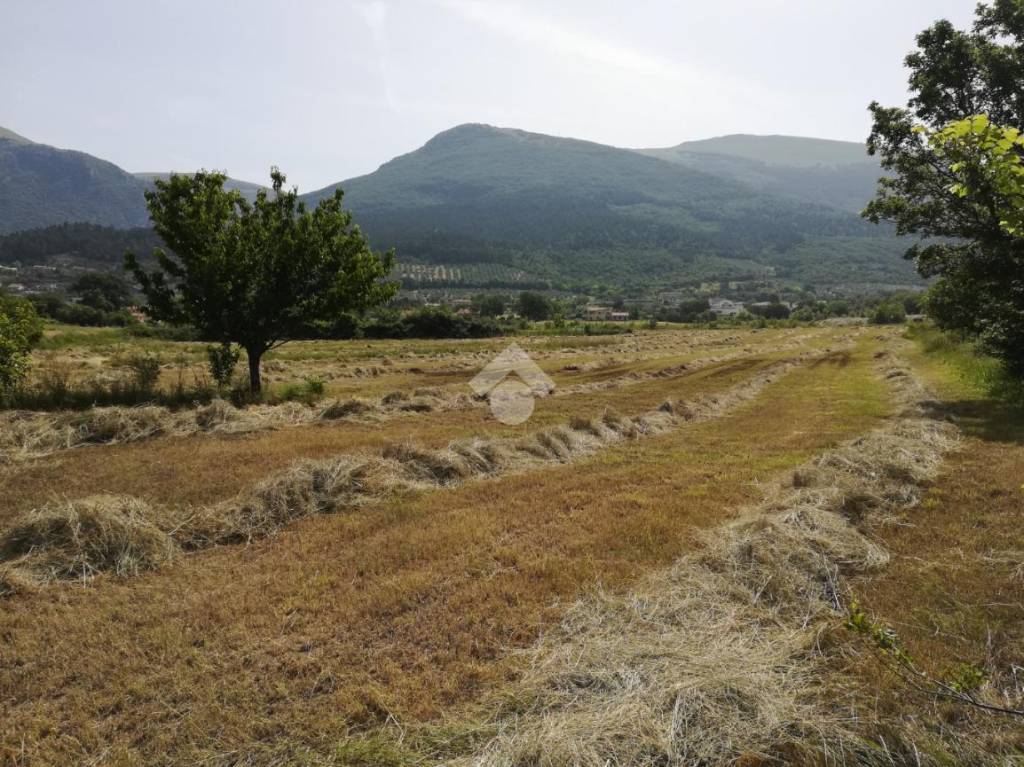 immagine annuncio 6 di 11
