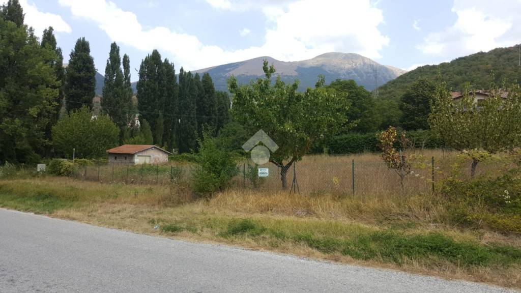 immagine annuncio 2 di 6