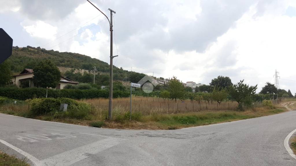immagine annuncio 3 di 6