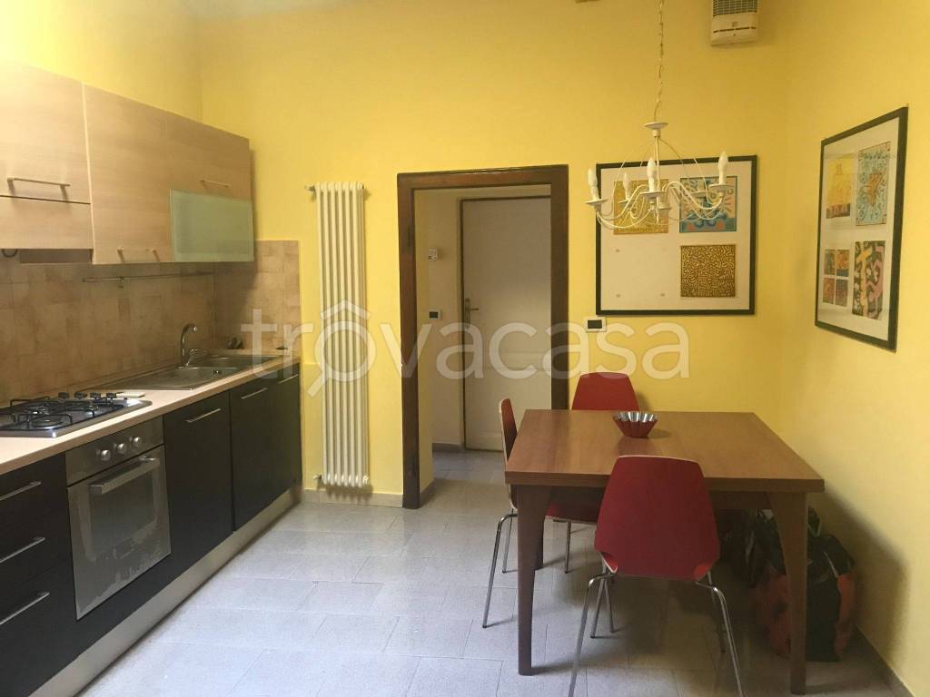 Appartamento in in affitto da privato a Pisa via Carlo Cammeo Salomone, 33