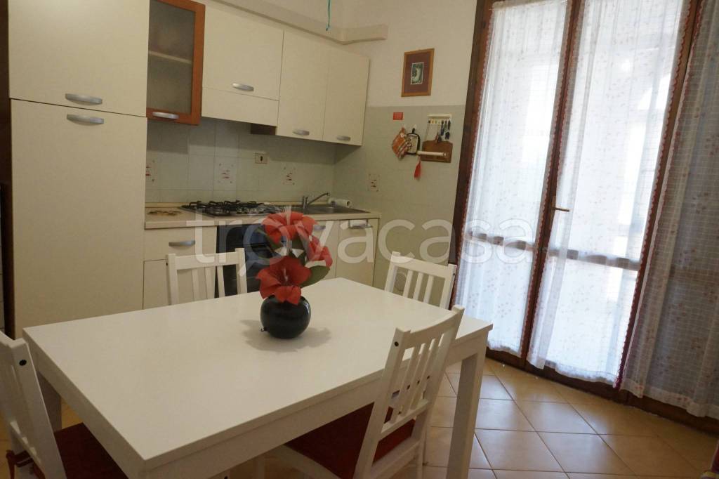 immagine annuncio 5 di 14