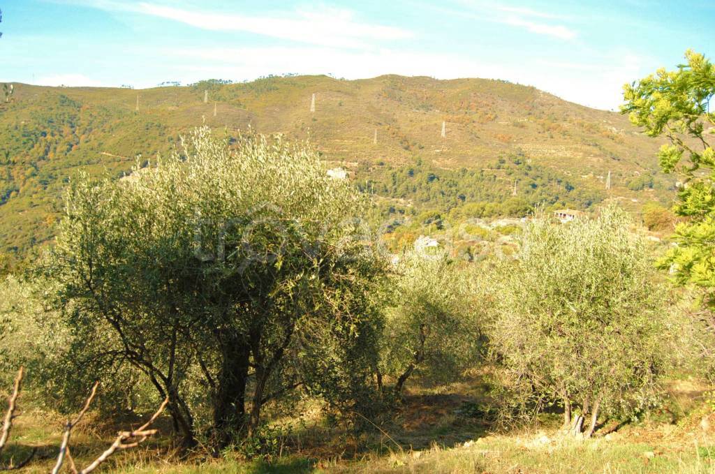 casa indipendente in vendita a Seborga