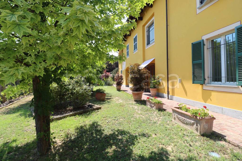 immagine annuncio 8 di 15