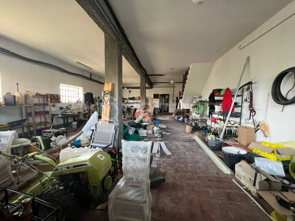 immagine annuncio 7 di 15