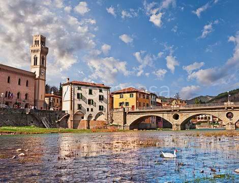 immagine annuncio 2 di 6