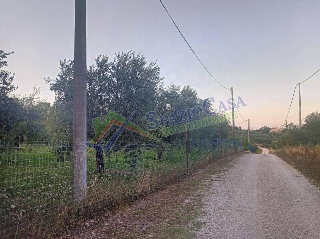 immagine annuncio 2 di 12
