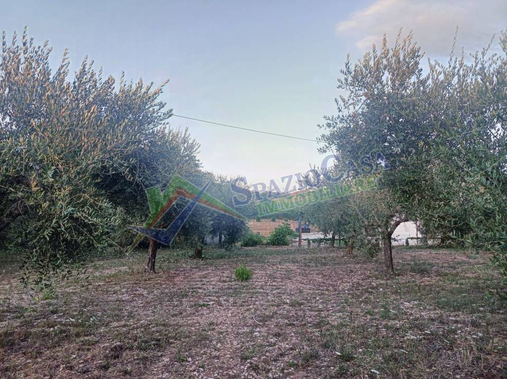 immagine annuncio 4 di 12