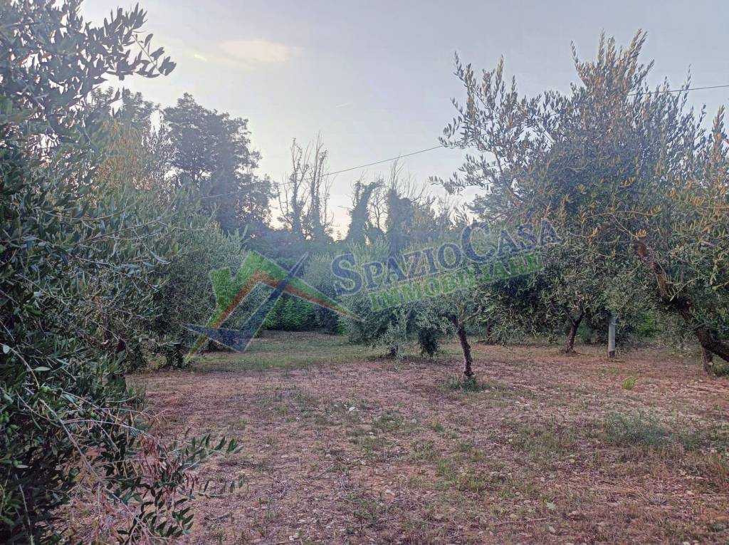 immagine annuncio 5 di 12