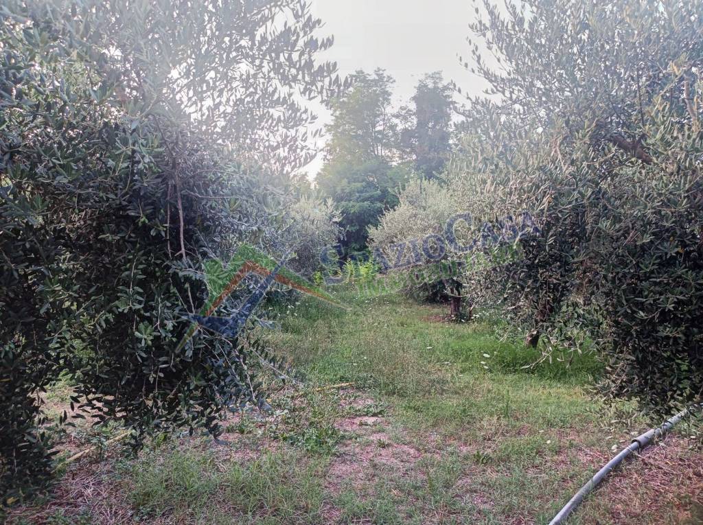 immagine annuncio 7 di 12