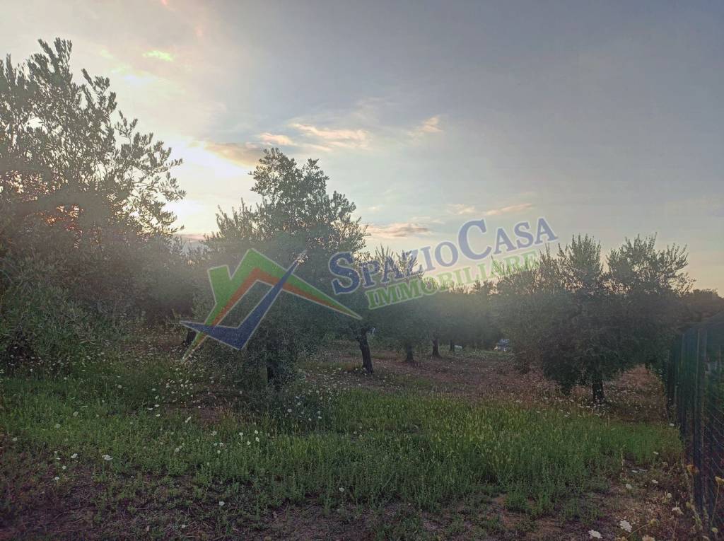 immagine annuncio 9 di 12