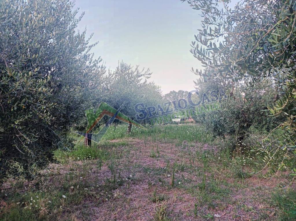 immagine annuncio 11 di 12