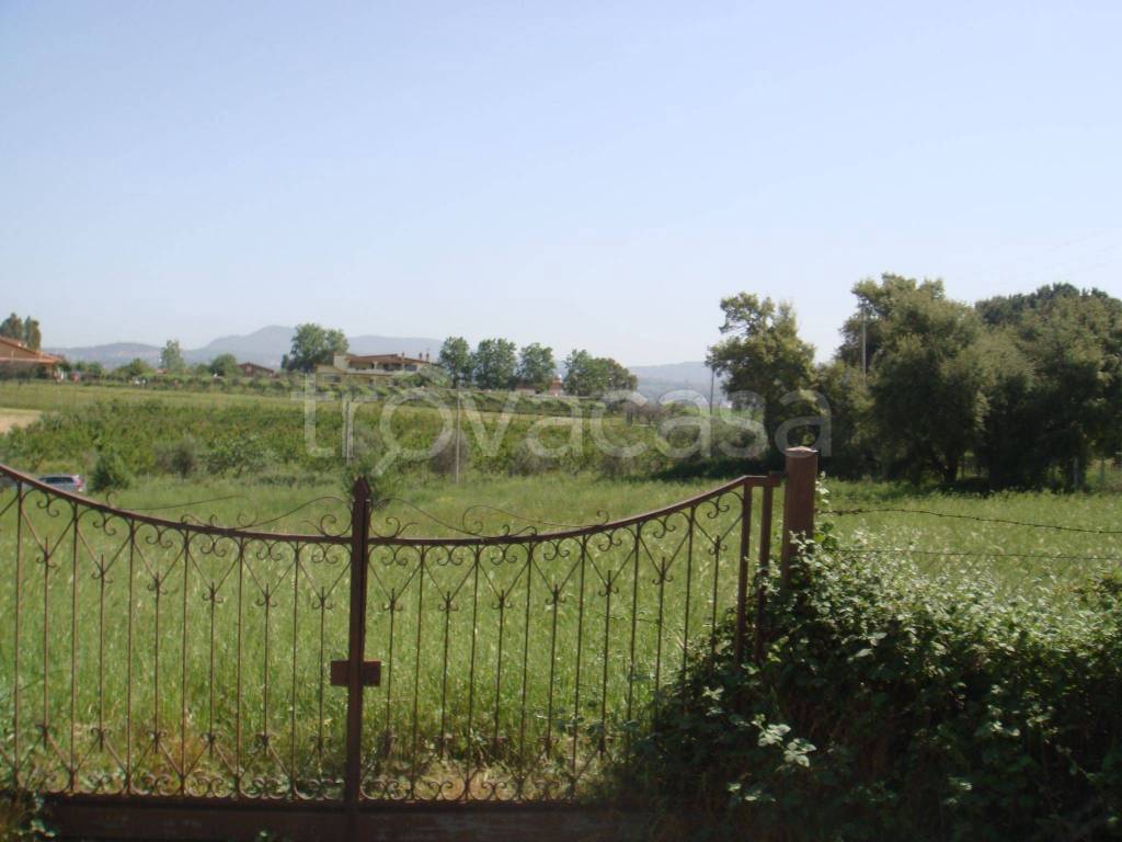 Terreno Agricolo in vendita ad Ardea via Montagnano