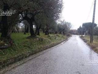 Terreno agricolo in vendita a bucciano contrada grande