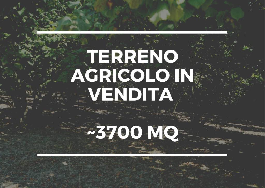 Terreno Agricolo in vendita a Saviano via Edoardo Tabacchi