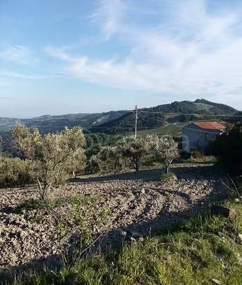 Terreno Agricolo in vendita a Montegiordano sp149