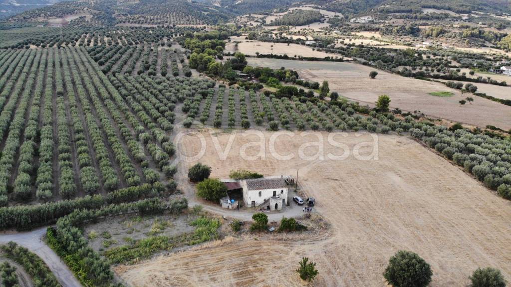 Terreno Agricolo in vendita a Cerchiara di Calabria località Piana di Cerchiara