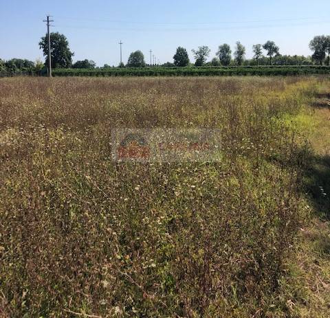 Terreno Agricolo in vendita a Oderzo via Pra Gatta, 31046