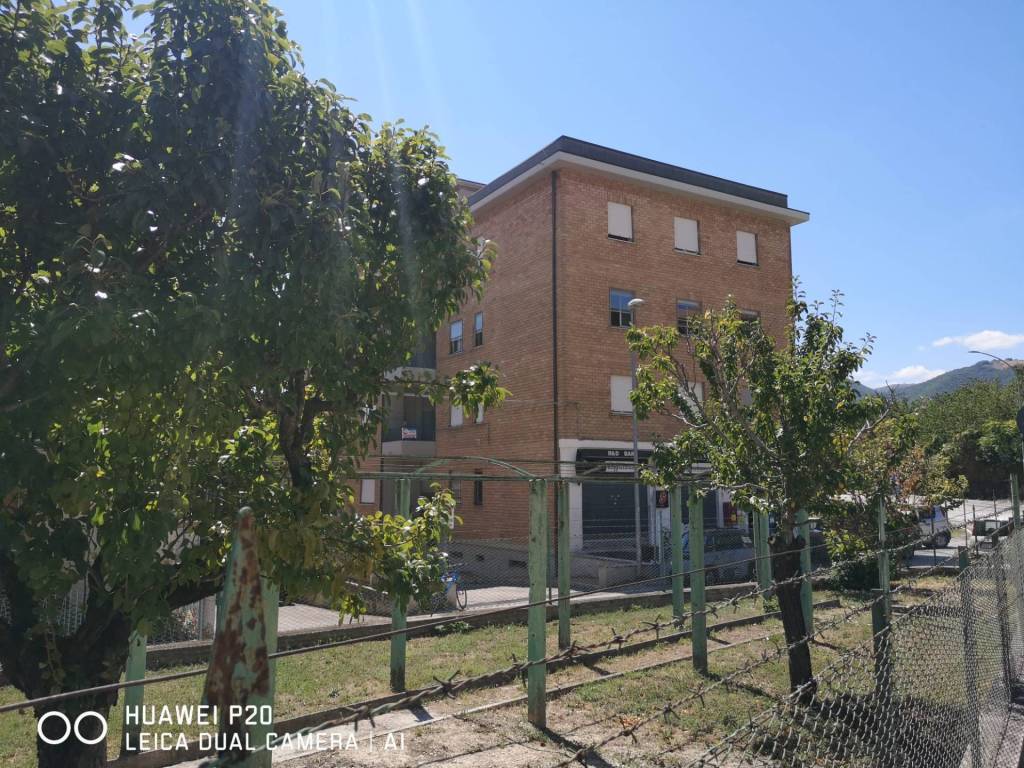 immagine annuncio 12 di 13