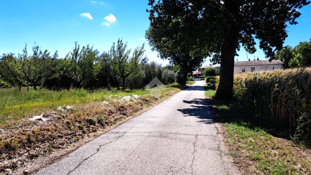 immagine annuncio 3 di 9