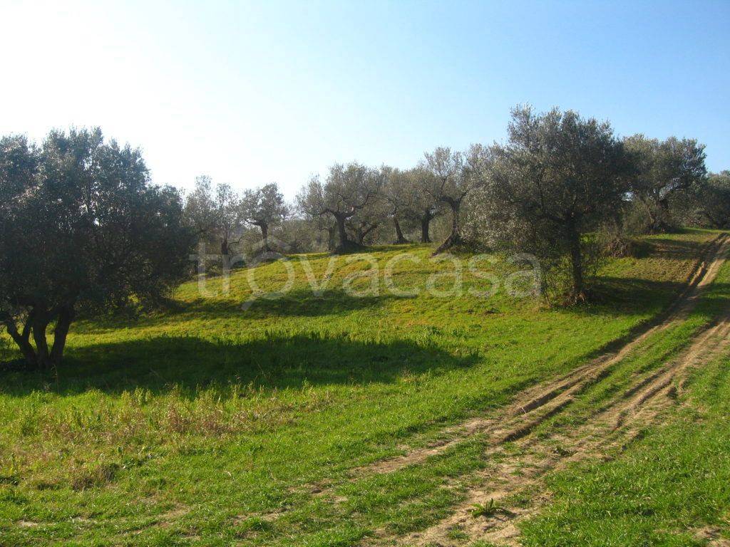 Terreno Agricolo in vendita ad Ascoli Satriano strada Provinciale Corleto San Carlo